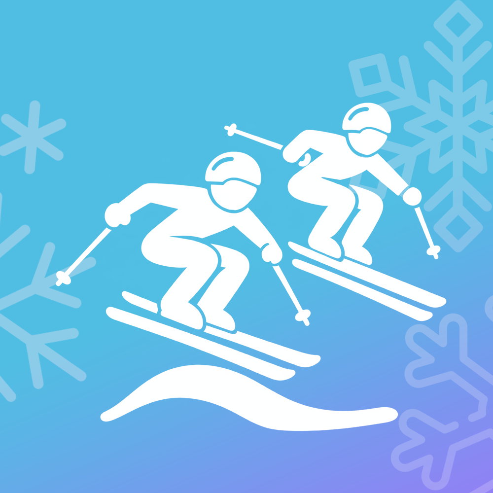 Ski Cross Icon